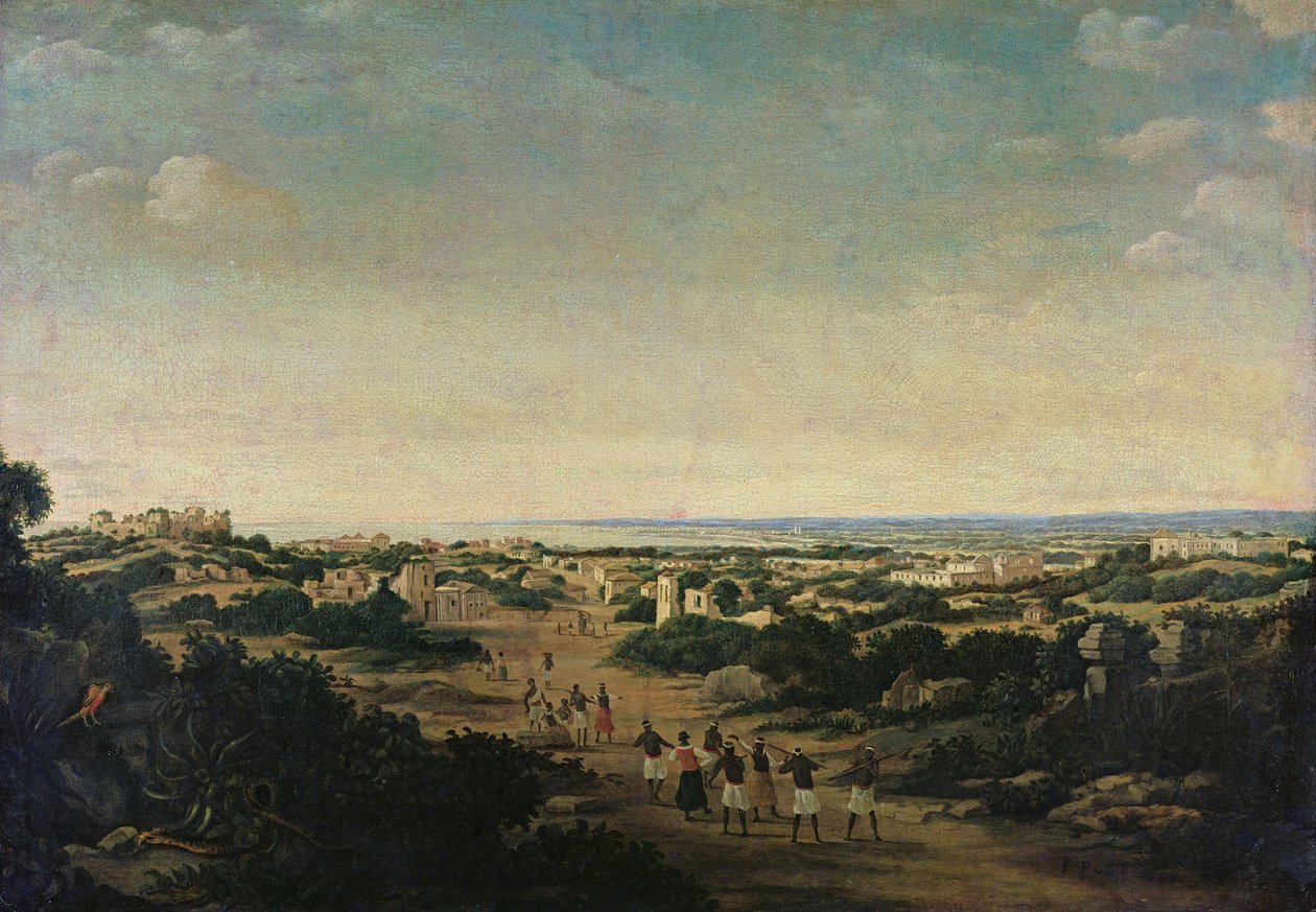 Ukendt billede af Frans Post