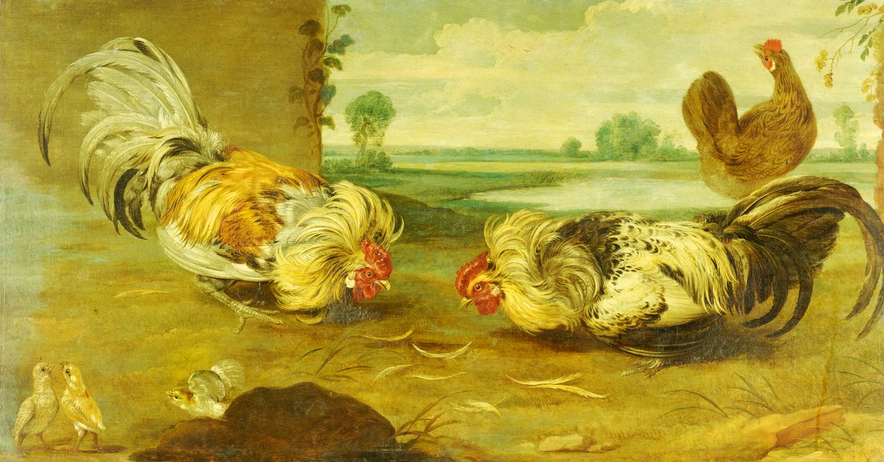 En hanekamp af Frans Snyders or Snijders