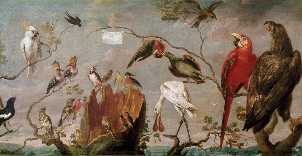 Fuglekoncertmaleri af Frans Snyders (Snijders) (1579-1657) 1600-tallet Madrid, Prado-museet af Frans Snyders