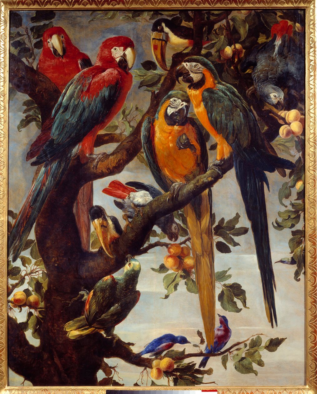 Papegøjer og andre fugle Maleri af Frans Snyders (1579-1657) 1600-tallet søn. 1,22x0,98 m Grenoble, Musee des Beaux Arts af Frans Snyders