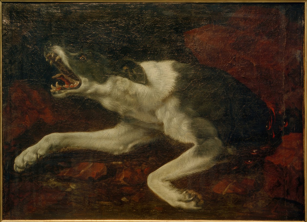 Skadet hund af Frans Snyders or Snijders