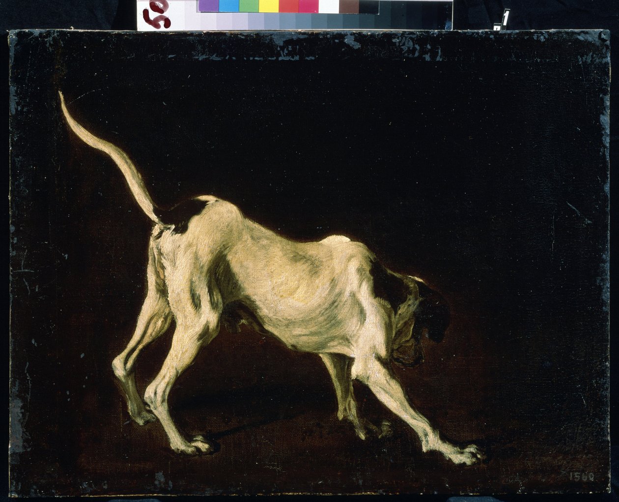 Hund (En hund). Maleri af Frans Snyders (1579-1657). Olie på lærred af Frans Snyders or Snijders
