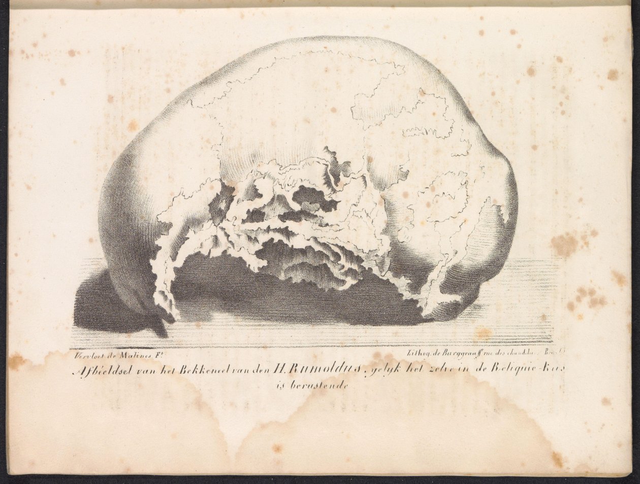 Skull of Saint Rumbold, 1825 Billede af St. Rumoldus bækken, som det er i Reliquie-Kas resigneret (titel på objekt) af Frans Vervloet