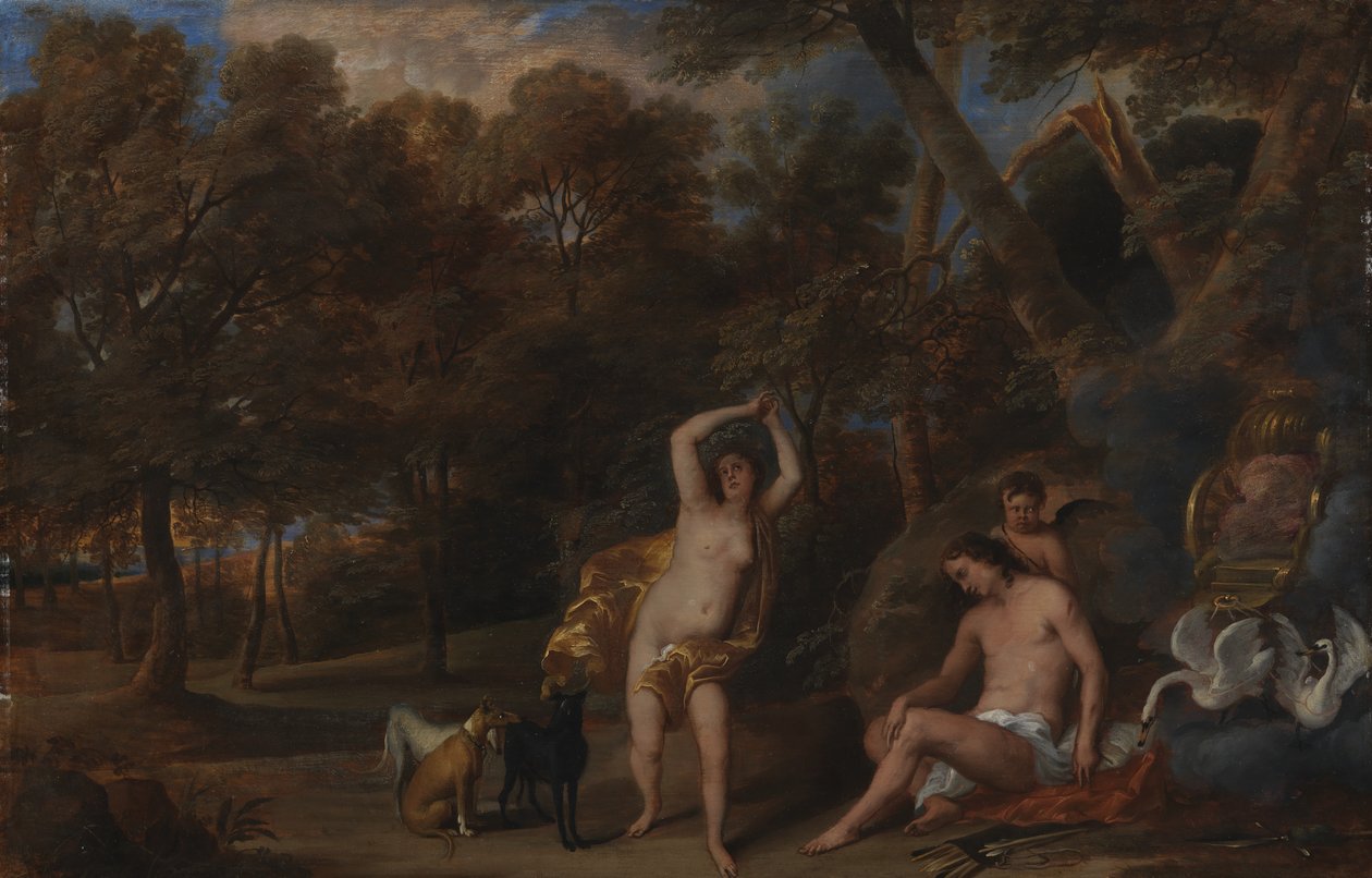 Venus begræder den dræbte Adonis af Frans Wouters