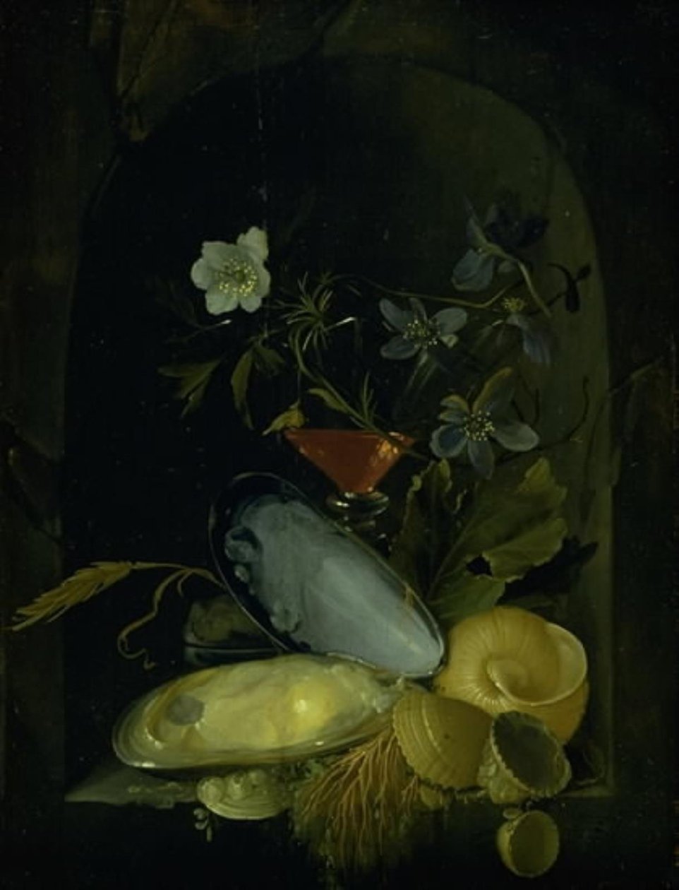 Stilleben med cockleshells og blå anemoner af Frans van I Mieris