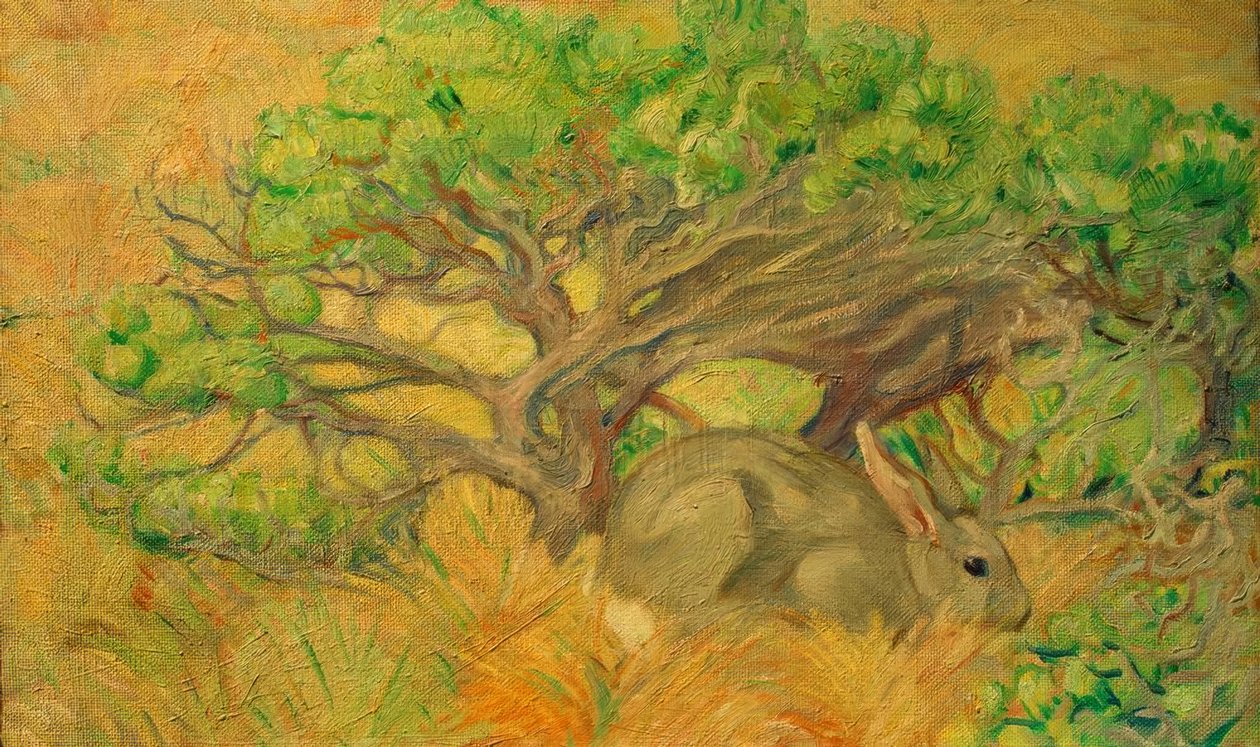 Vild kanin af Franz Marc