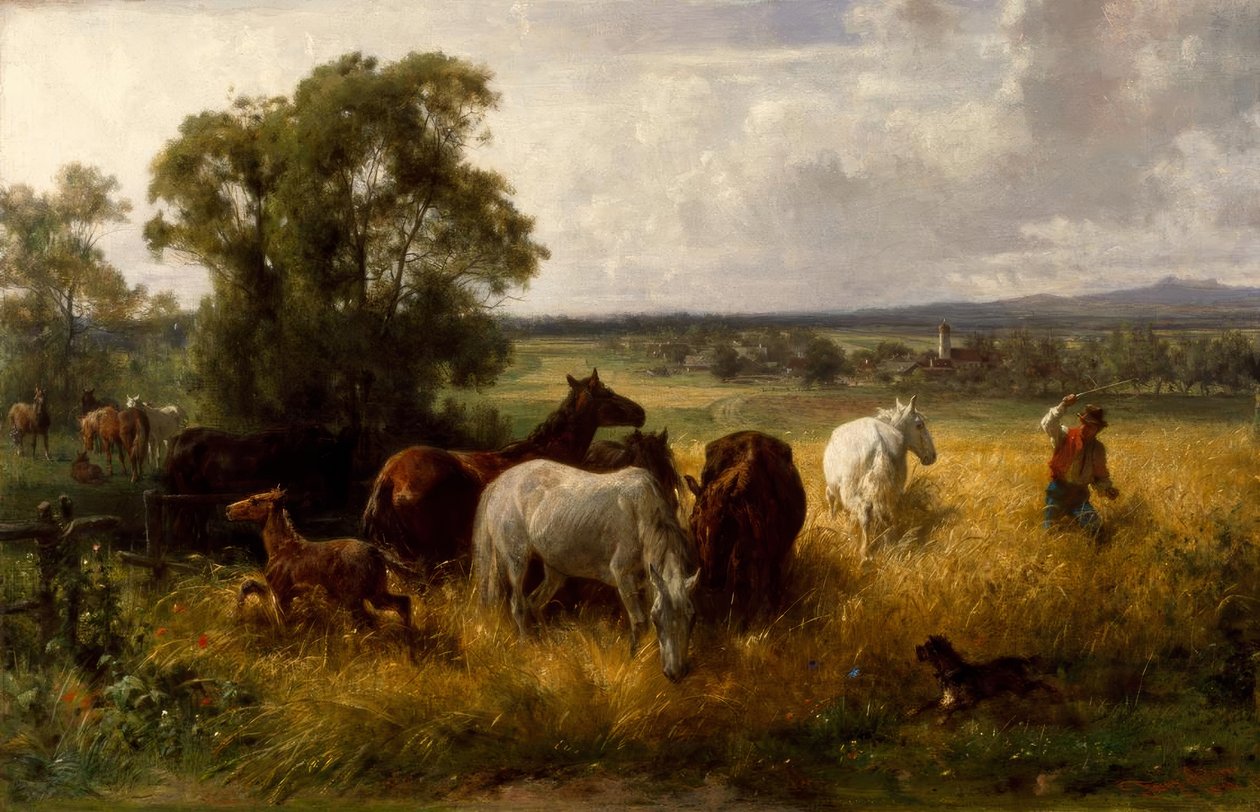 F. Adam, Beyond the paddocken af Franz Adam