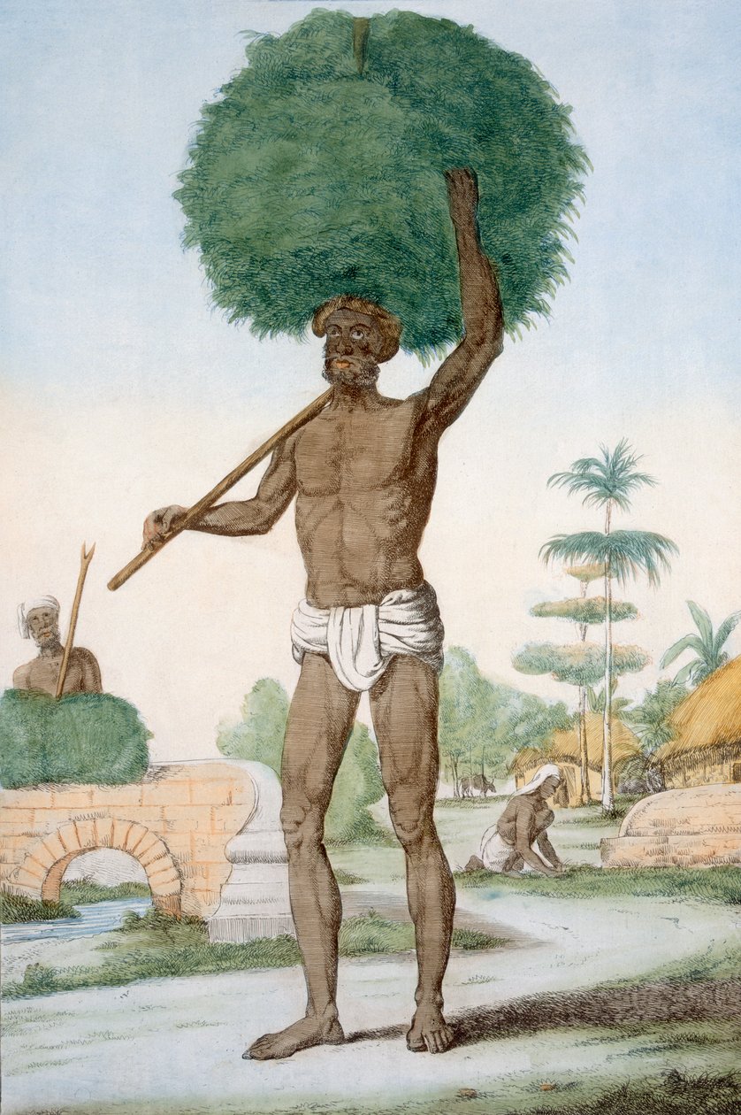 Hinduisk tjener, der slår græs, 