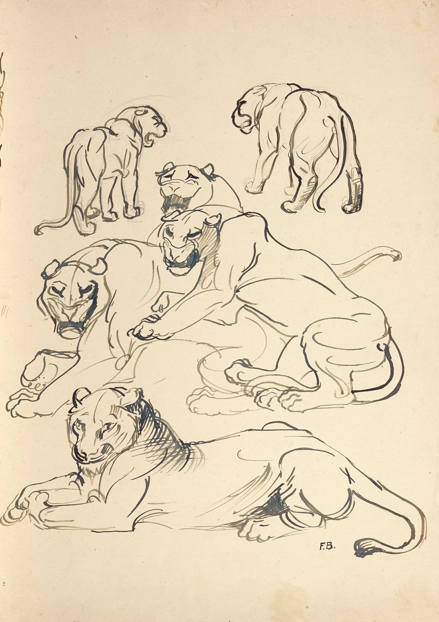 Seks Cougars af Franz Barwig d. Ä.