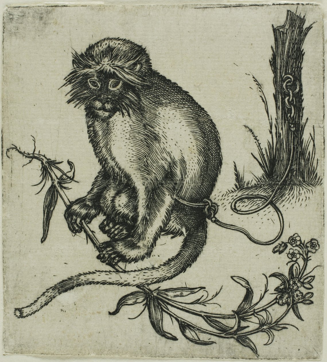 En lænket abe af Franz Brun