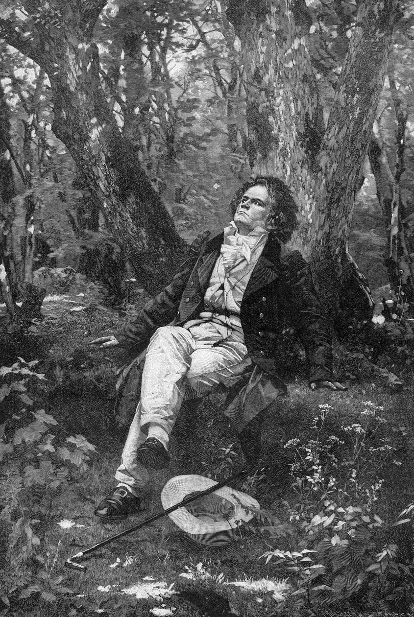 Beethoven, 1906 af Franz Hanfstaengl