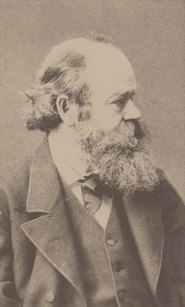 Portræt af komponisten Robert von Hornstein 1833-1890. af Franz Hanfstaengl
