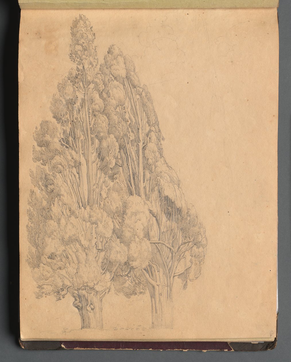 Album med udsigt over Rom og omgivelser, Landskabsstudier, side 13a: Træer. af Franz Johann Heinrich Nadorp