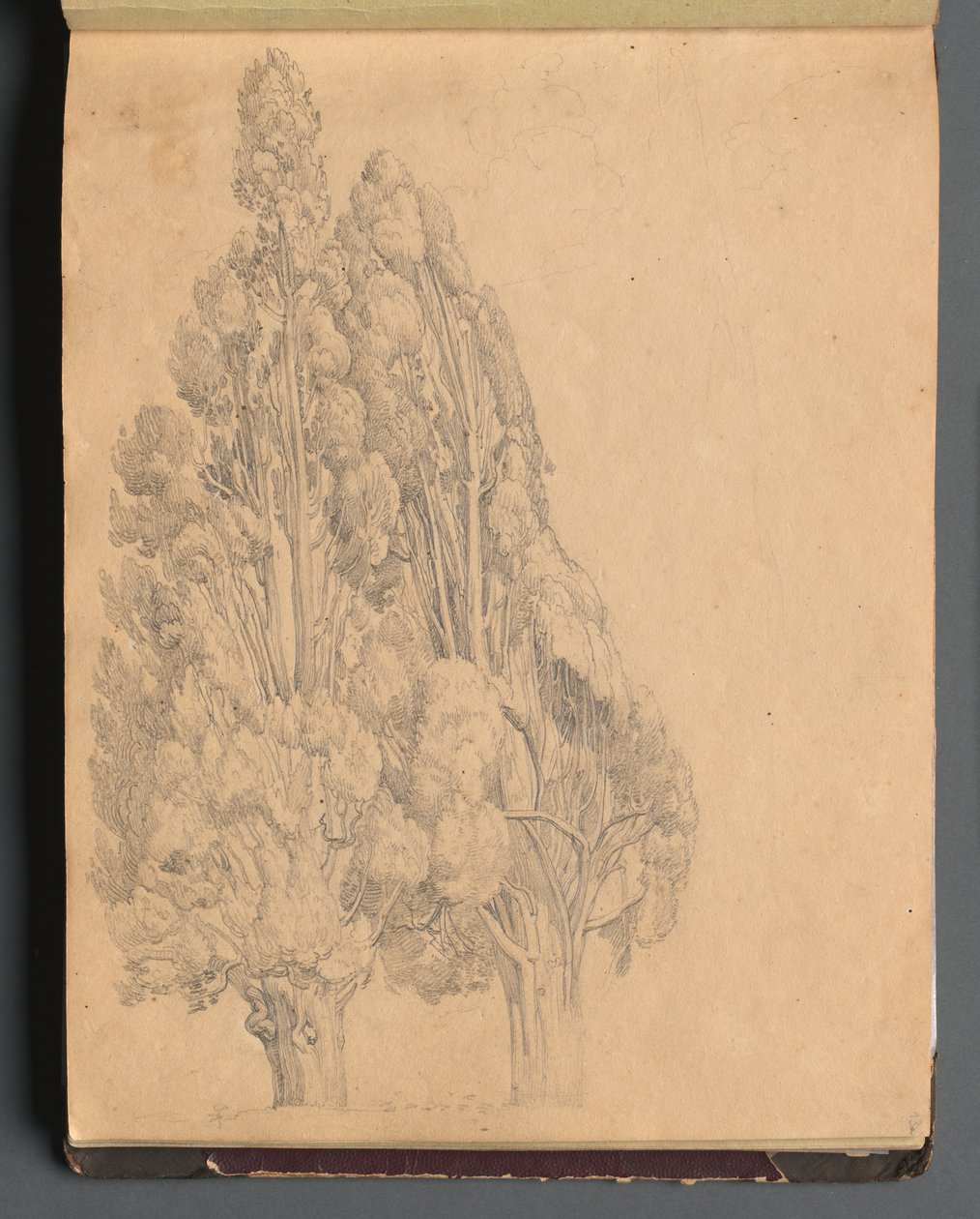Album med udsigt over Rom og omgivelser, Landskabsstudier, side 13a: Træer af Franz Johann Heinrich Nadorp