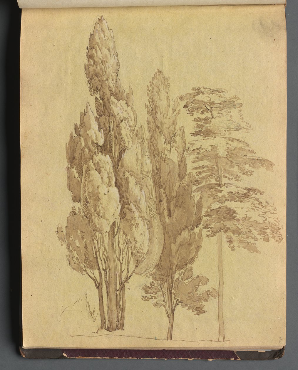 Album med udsigt over Rom og omgivelser, Landskabsstudier, side 15a: Træer af Franz Johann Heinrich Nadorp