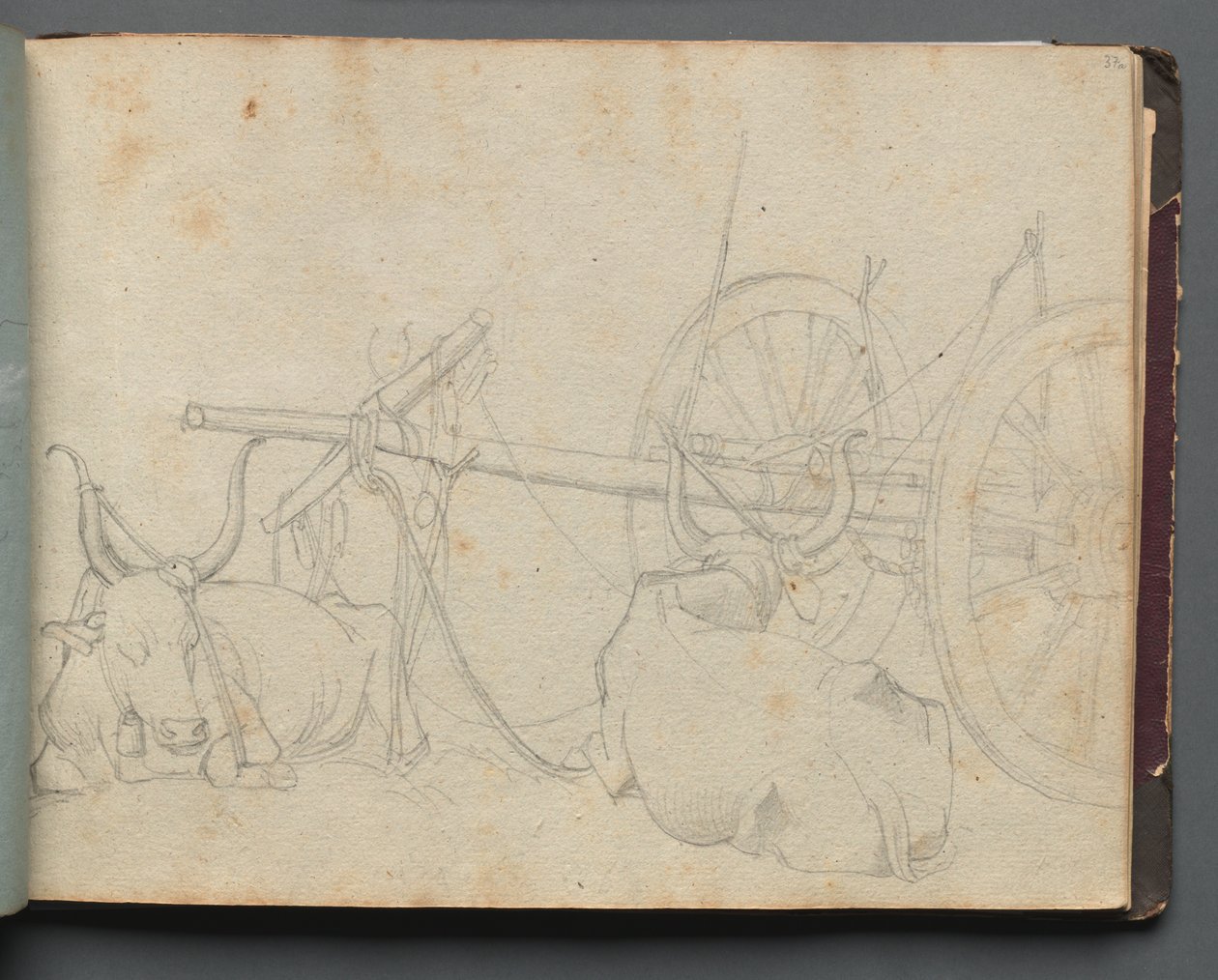 Album med udsigt over Rom og Omegn, Landskabsstudier, side 37a: Okser og vogn. af Franz Johann Heinrich Nadorp