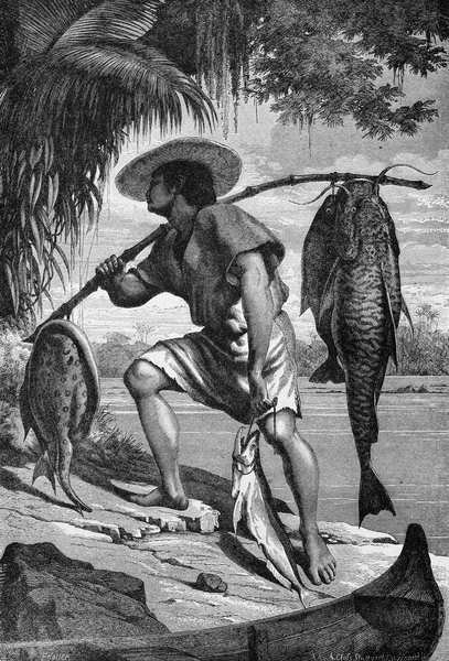 En af vores Mojo-indianere, der vender tilbage fra fiskeri, fra Amazonas og Madeira-floderne, af Franz Keller, graveret af A. Closs, 1874 af Franz Keller