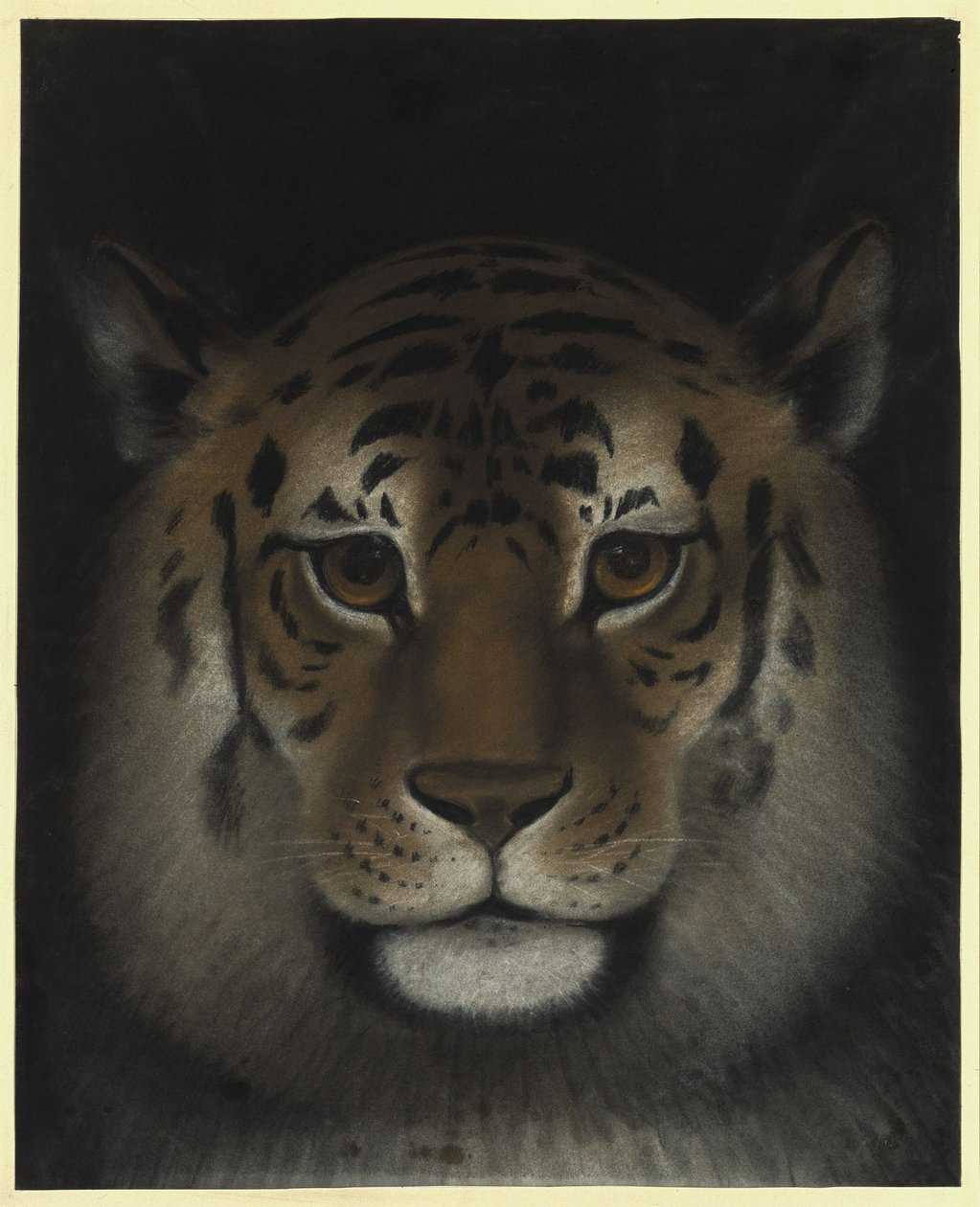 Tigerhoved af Franz Krüger