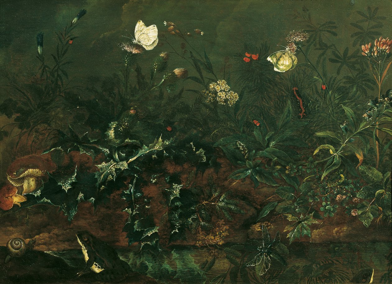 Plænestykke med tidsel, frøer og guldsmede af Franz Michael Siegmund von Purgau d. Ä.