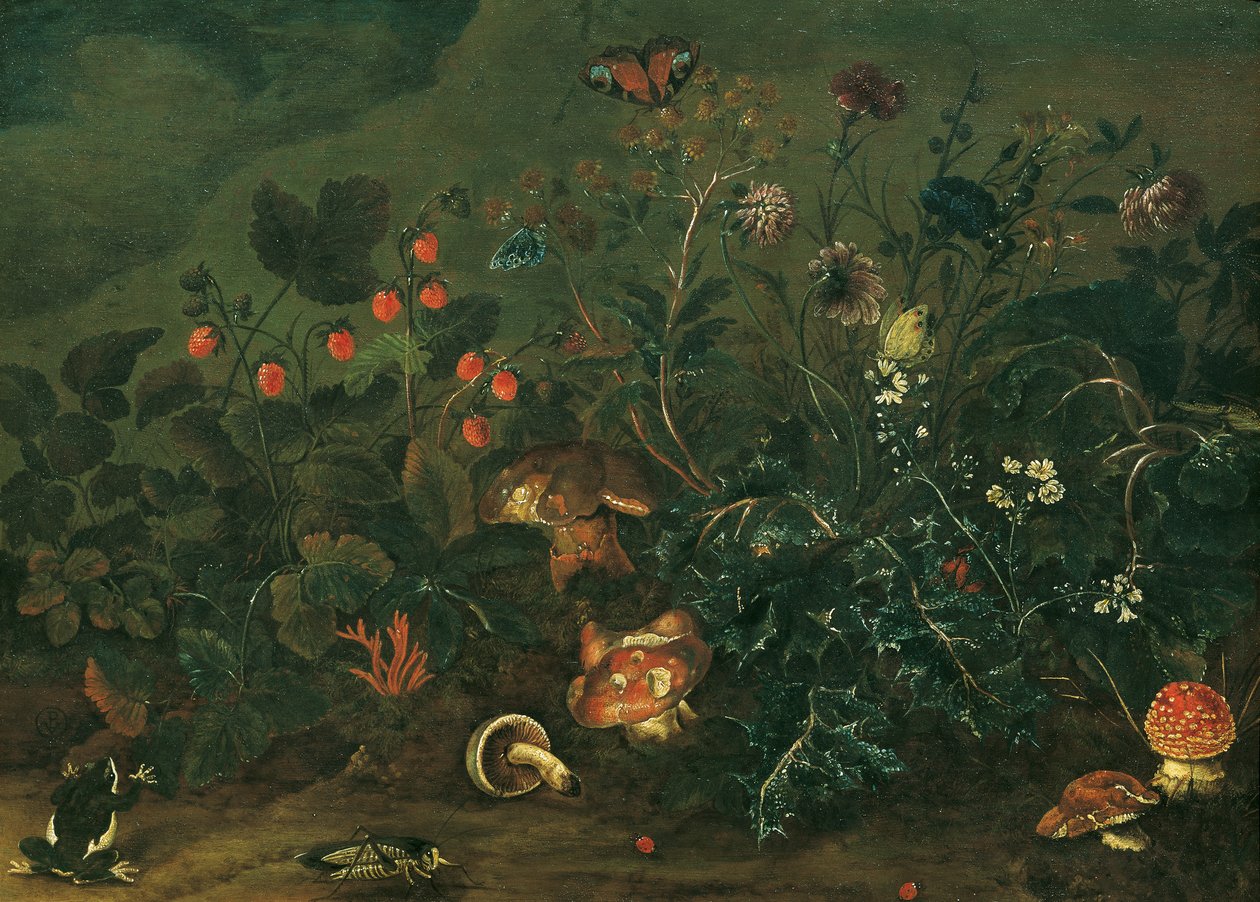 Plæne med jordbær og cricket af Franz Michael Siegmund von Purgau d. Ä.