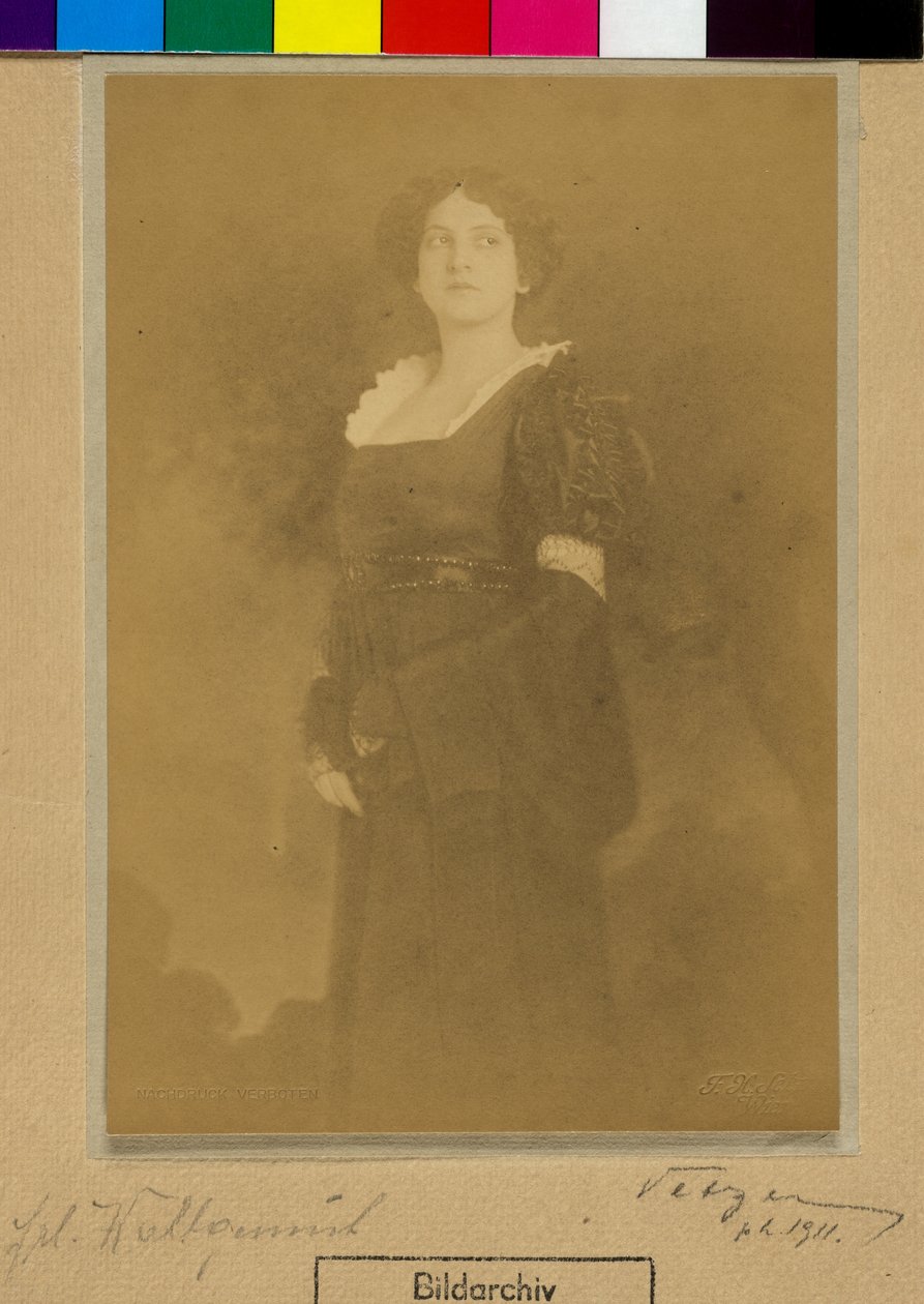 Wohlgemuth af Franz Xaver Setzer