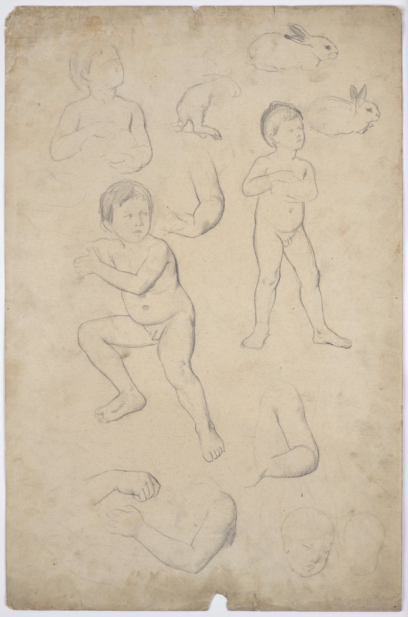 Nøgenbilleder og hovedstudier af børn, 2 kaniner af Franz von Matsch