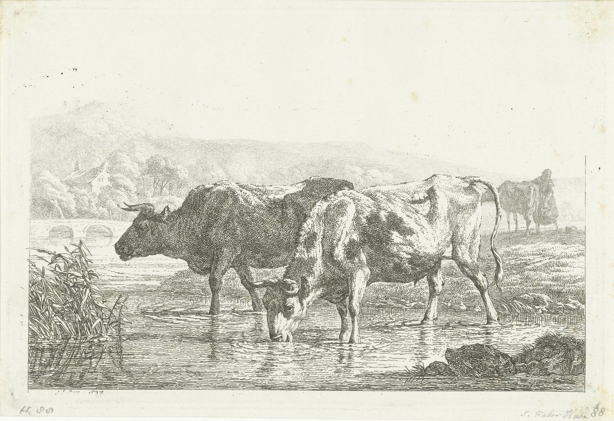 To drikkende køer af Frédéric Théodore Faber
