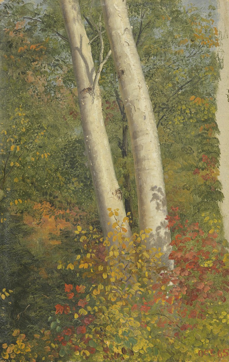 Birketræer i efteråret af Frederic Edwin Church