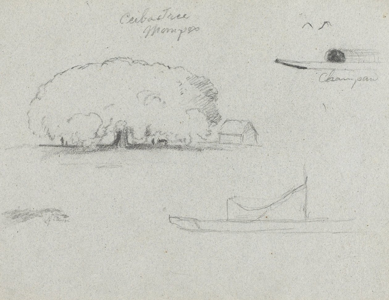 Ceiba Tree at Mompox, Chapman Canoe, Trees, and a Partial Boat, Rio Magdalena, Colombia af Frederic Edwin Church