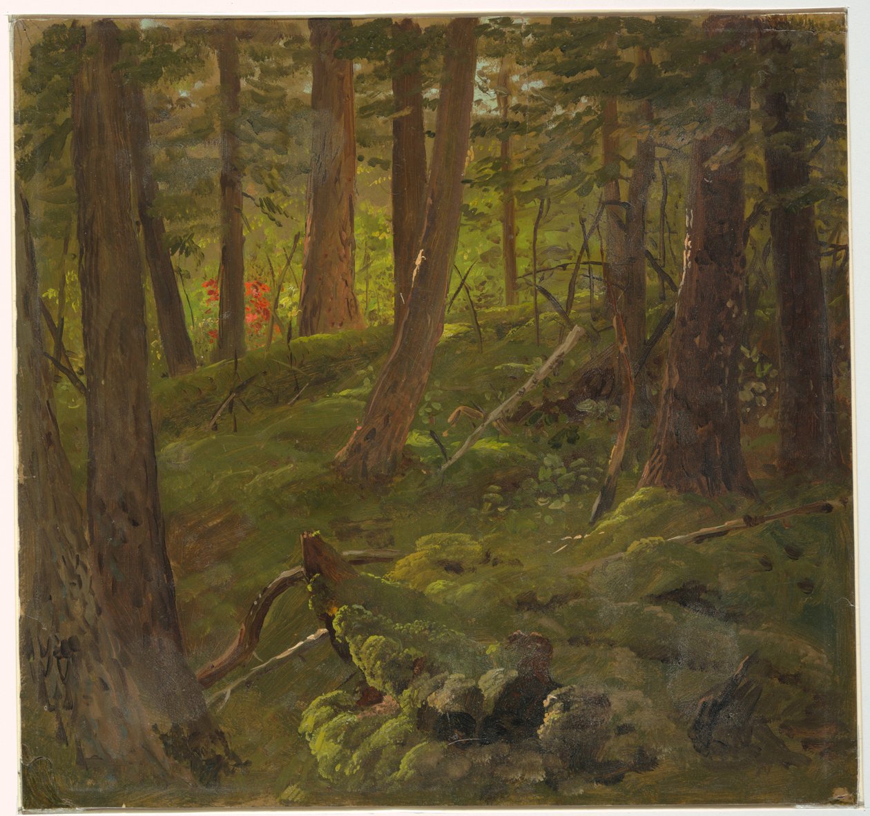 Tegning, Junglevegetation, 1865 af Frederic Edwin Church