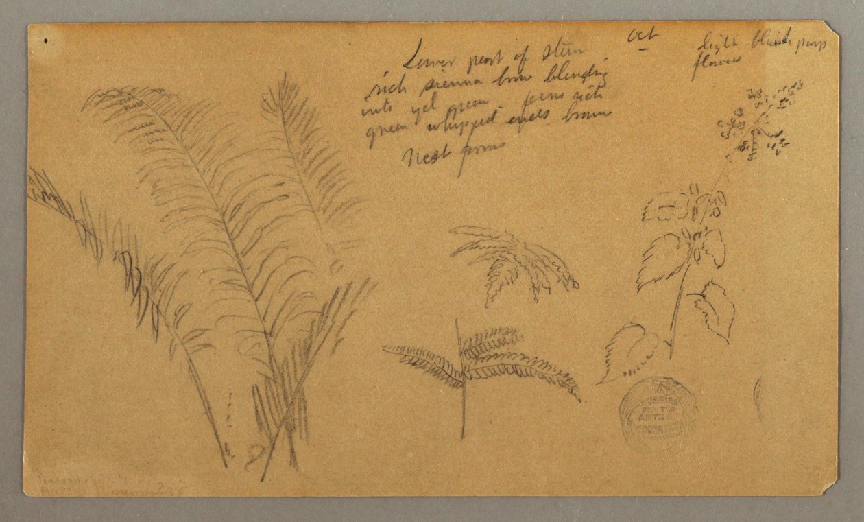 Fern undersøgelser af Frederic Edwin Church