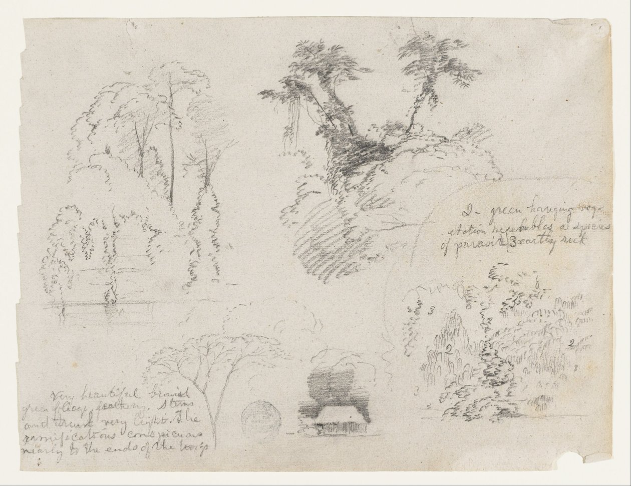 Skitser fra Sydamerika, sandsynligvis fra Colombia. Botaniske skitser. Et hus. af Frederic Edwin Church