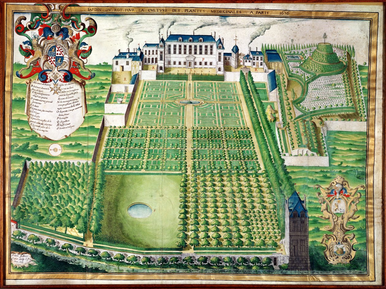 Kongens lægeplantehave, 1636 (gravering på pergament) af Frederic Scalberge
