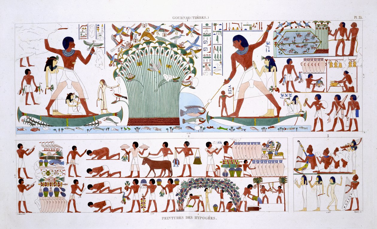 Forberedelse af mad til døde, fra en sjælden optegnelse af fresker fra Theben, optaget 1819-1822 på sit andet besøg i Egypten af Frederic Cailliaud (1787-1869), farve litho af Frederic (after) Cailliaud