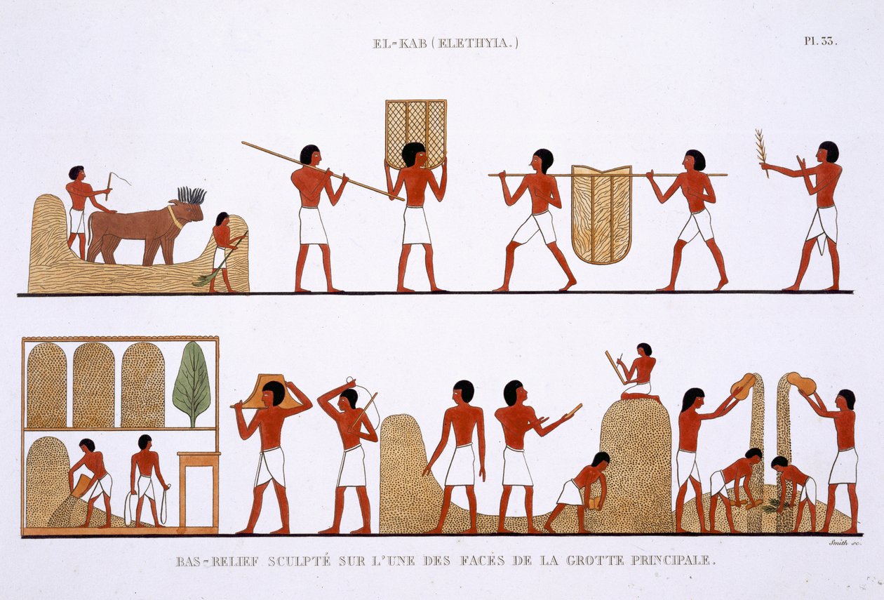 Transport, opbevaring og registrering af kornlagre, fra en sjælden optegnelse af fresker fra Theben, optaget 1819-1822 på sit andet besøg i Egypten af Frederic Caillaud (1787-1869), farve litho af Frederic (after) Cailliaud