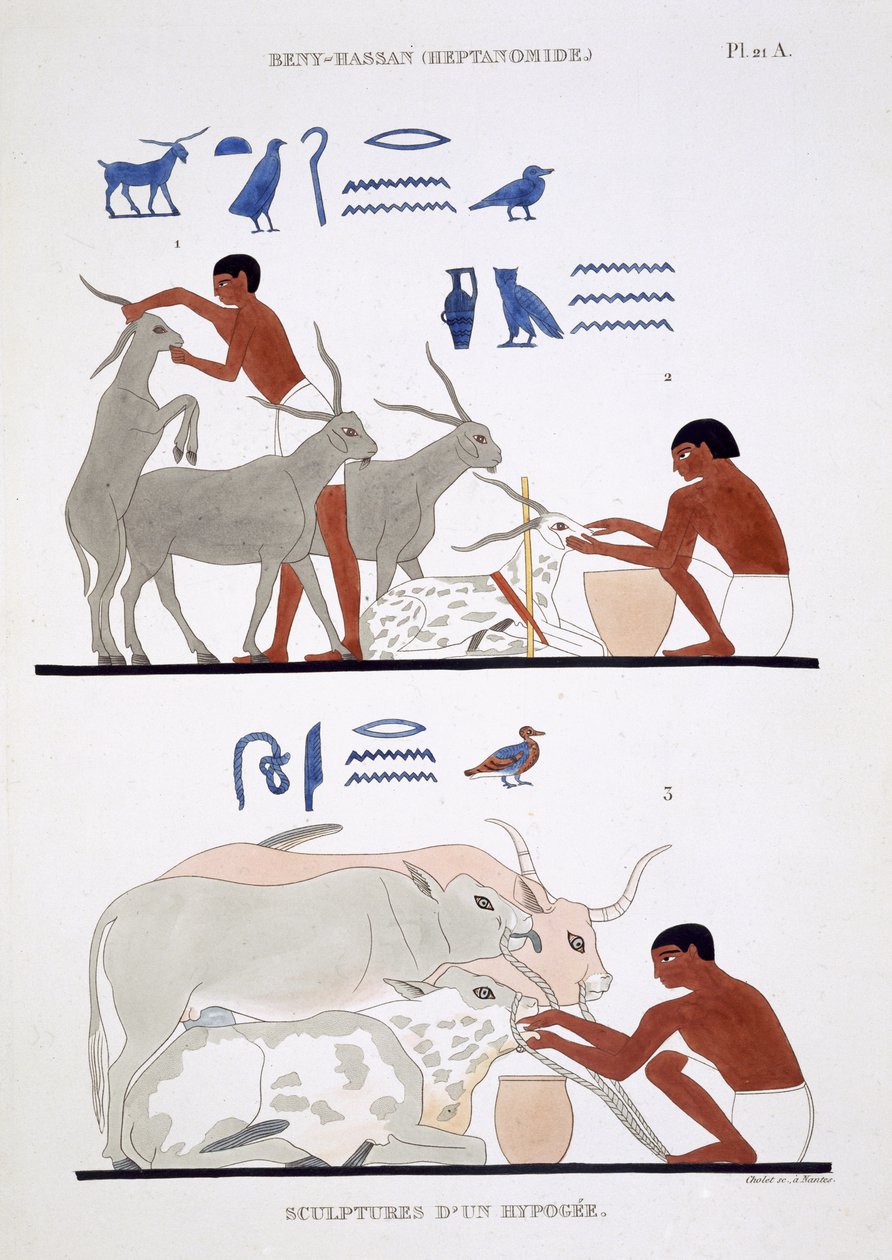 Veterinærarbejde, fra en sjælden optegnelse af fresker fra Theben, registreret 1819-1822 på sit andet besøg i Egypten af Frederic Cailliaud (1787-1869), farve litho af Frederic (after) Cailliaud
