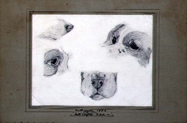 Studier af kunstnerens hund af Frederic (attr. to) Leighton