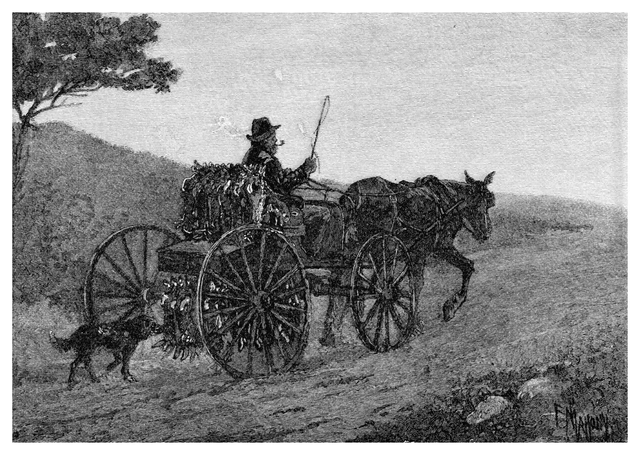 En Colac-kaninfanger, 1886. af Frederic B. Schell