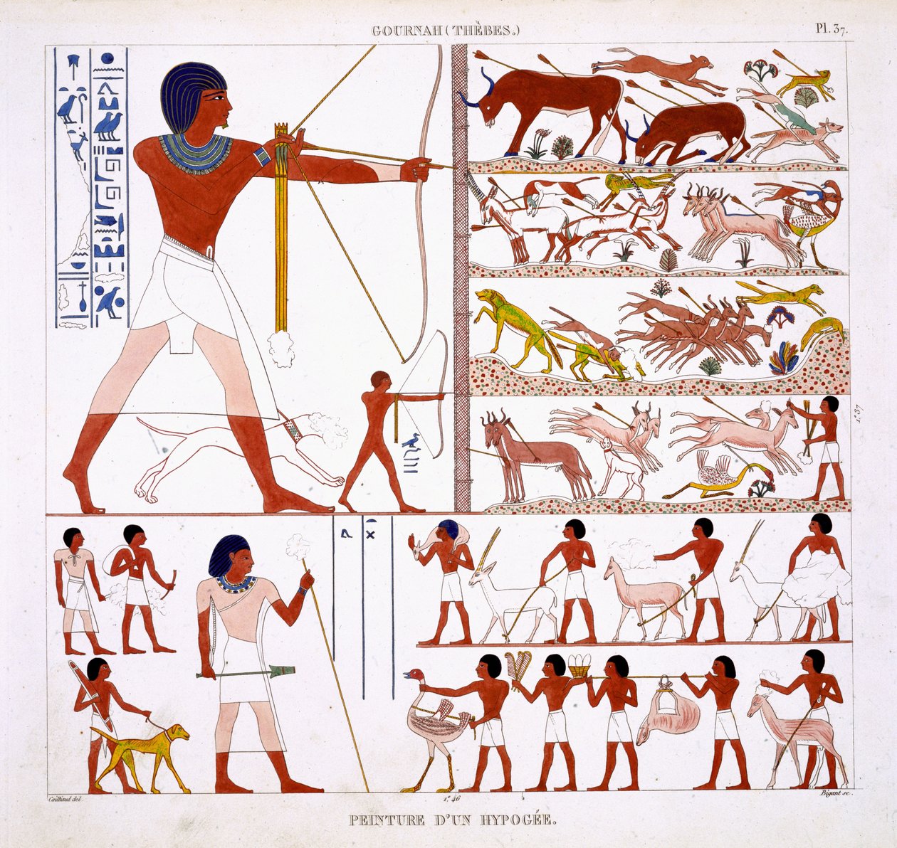 Jagtscener, fra en sjælden optegnelse af fresker fra Theben, optaget 1819-1822 på sit andet besøg i Egypten af Frederic Cailliaud (1787-1869), farve litho af Frederic Cailliaud