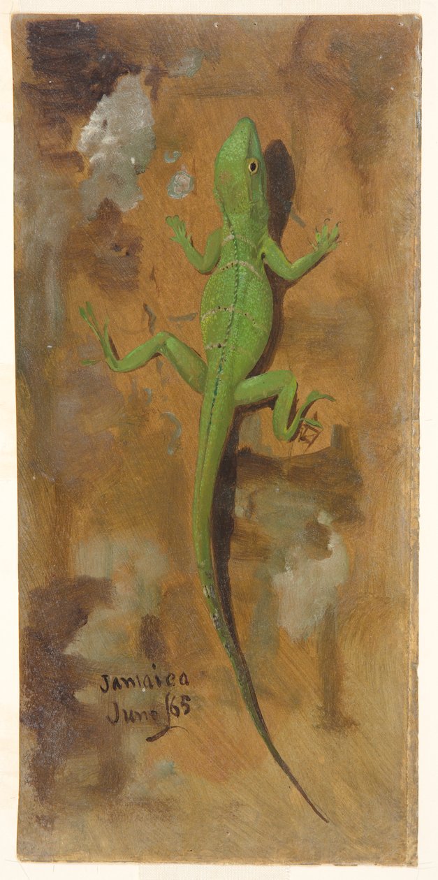 En firben, Jamaica af Frederic Edwin Church