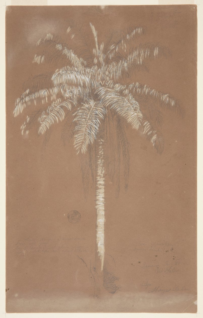 Kom så, Pam. sulus, jamaica af Frederic Edwin Church