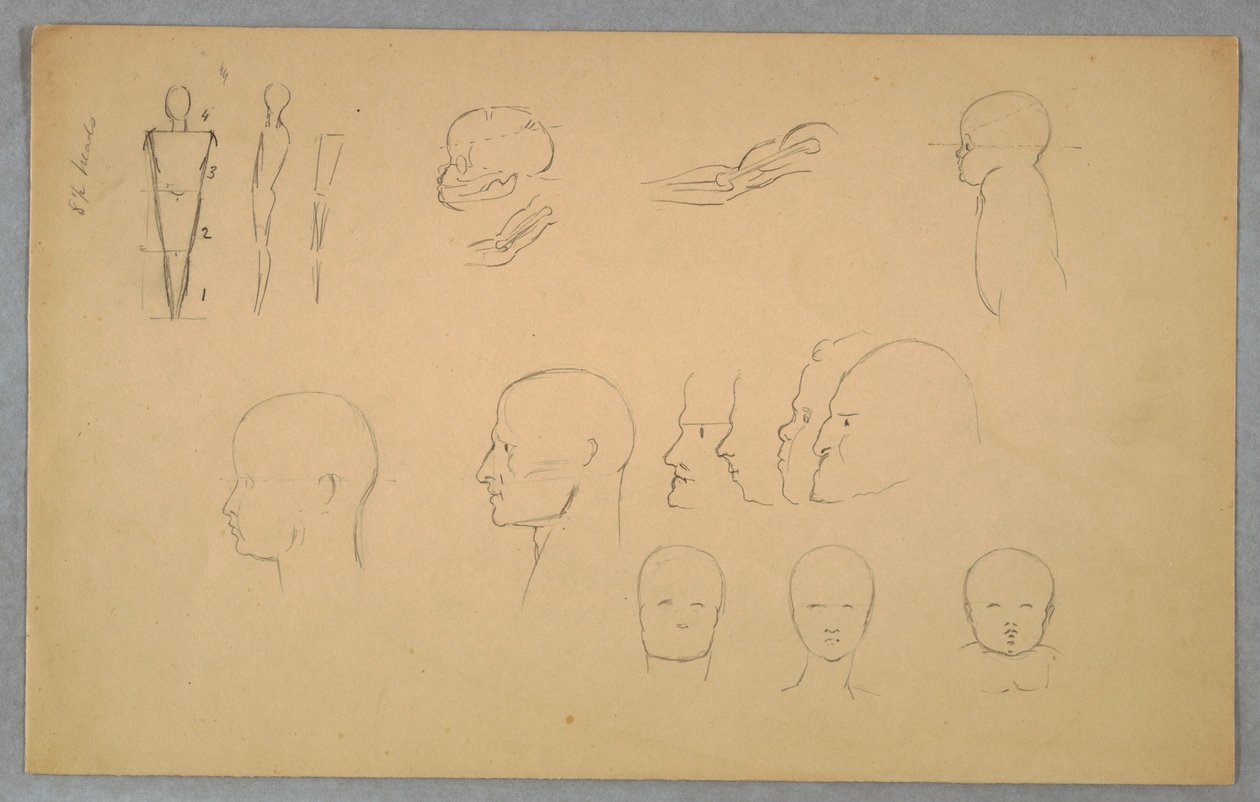 Anatomiske Studier af Frederic Edwin Church
