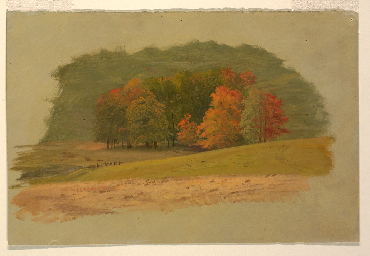 Efterårslandskab af Frederic Edwin Church