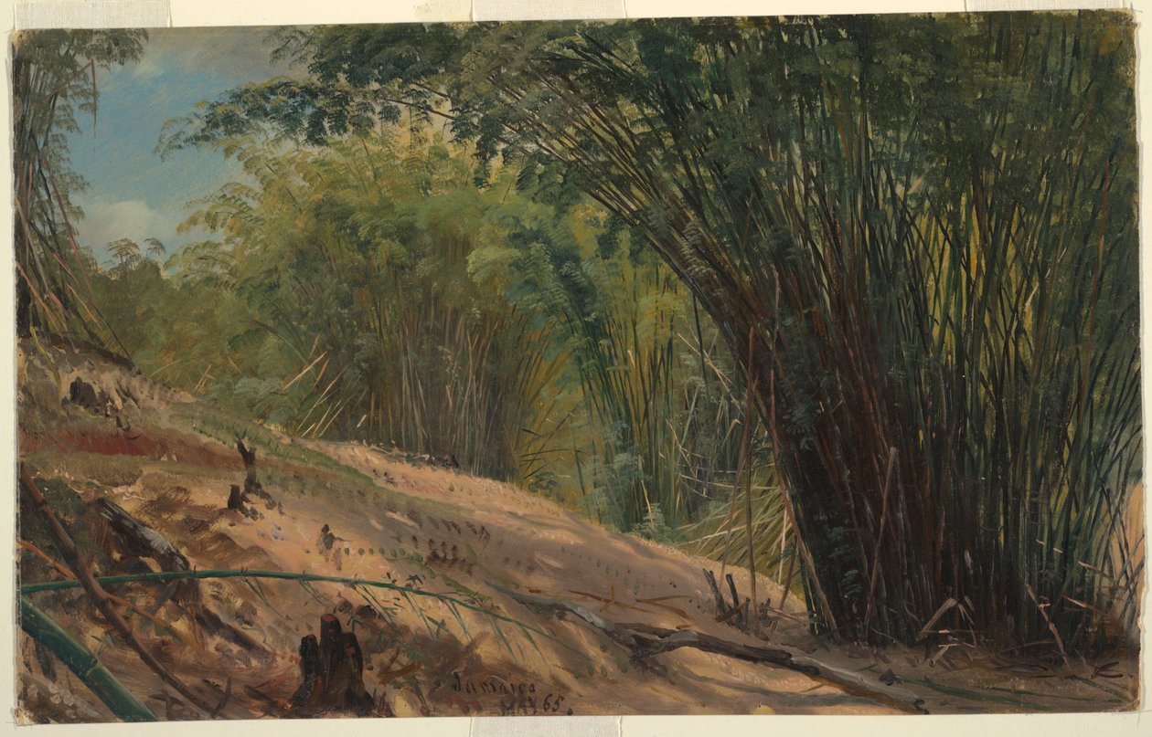 Bamboo Grove, Jamaica af Frederic Edwin Church