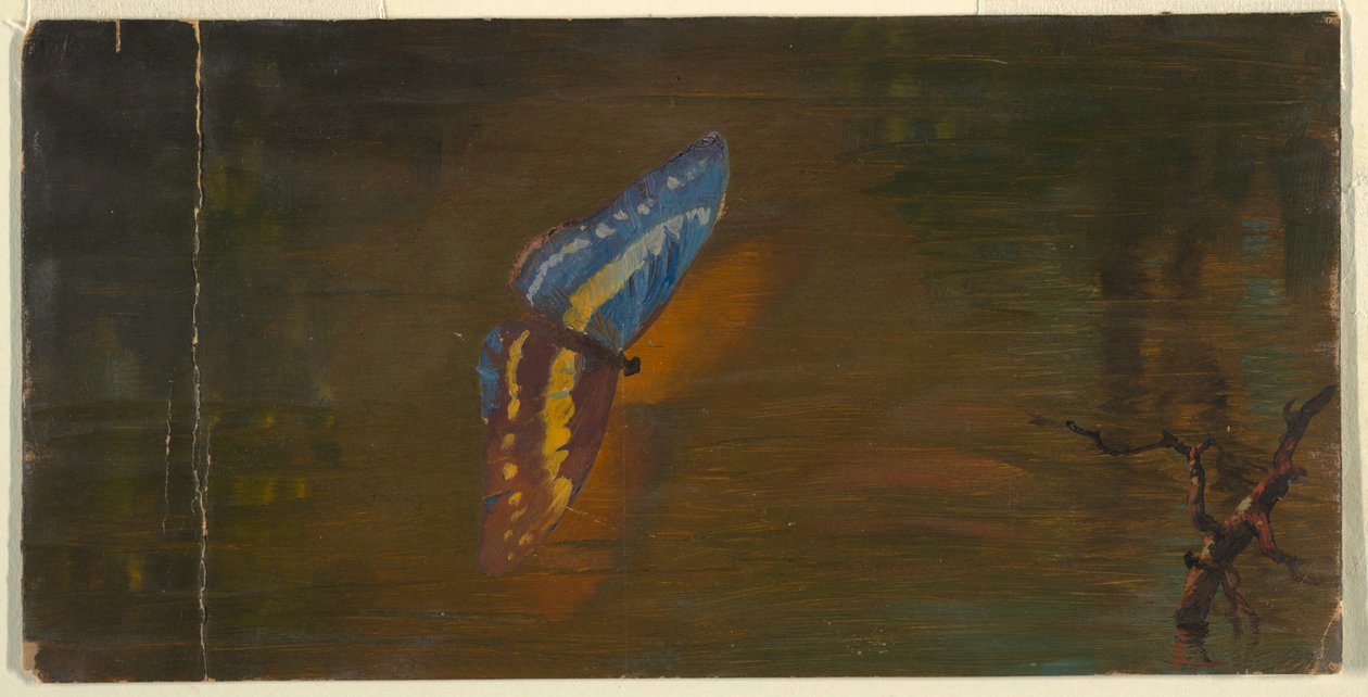 Sommerfugl over vand af Frederic Edwin Church