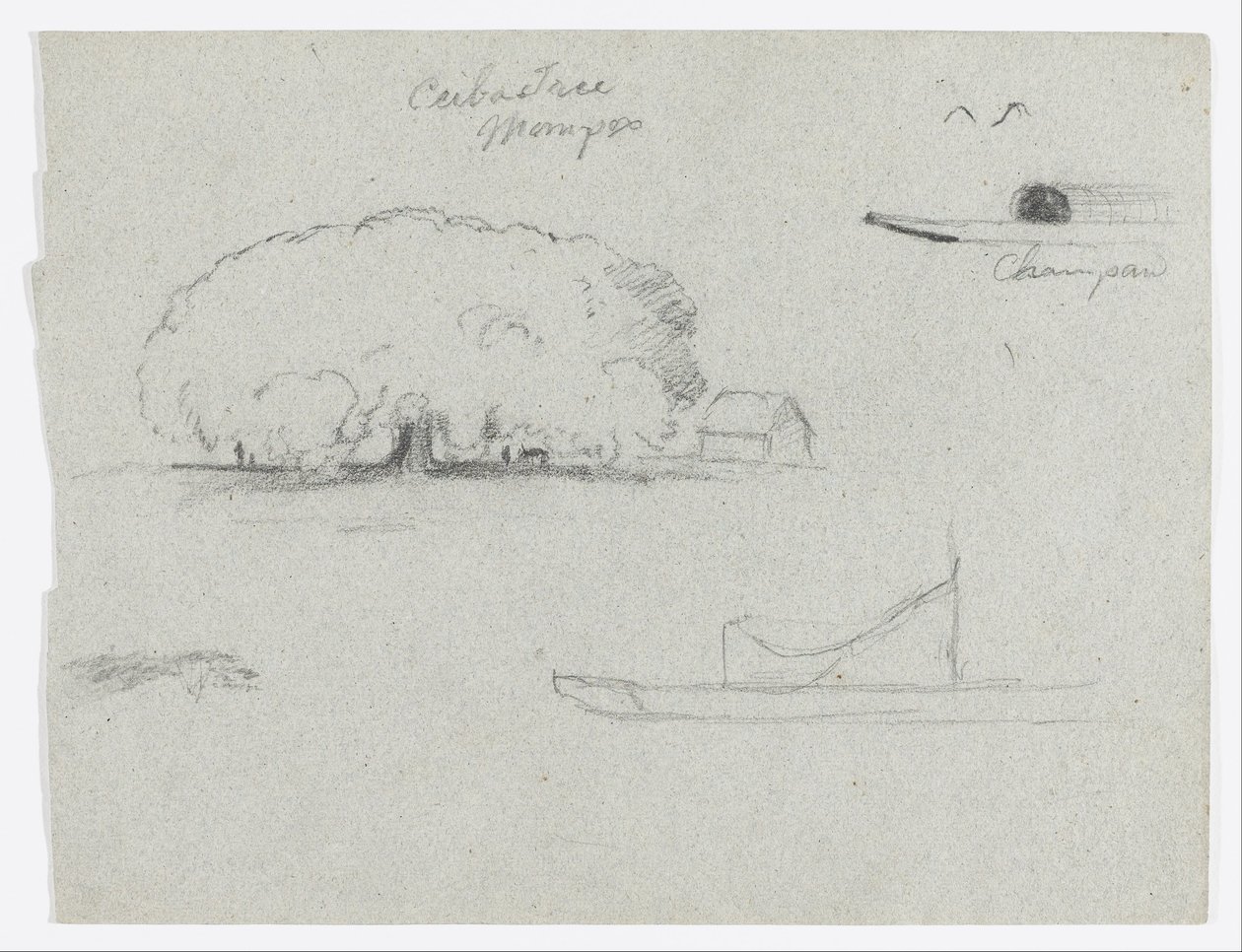 Ceiba-træ ved Mompos, Champan-kano, træer og en delvis båd, Rio Magdelena, Colombia af Frederic Edwin Church