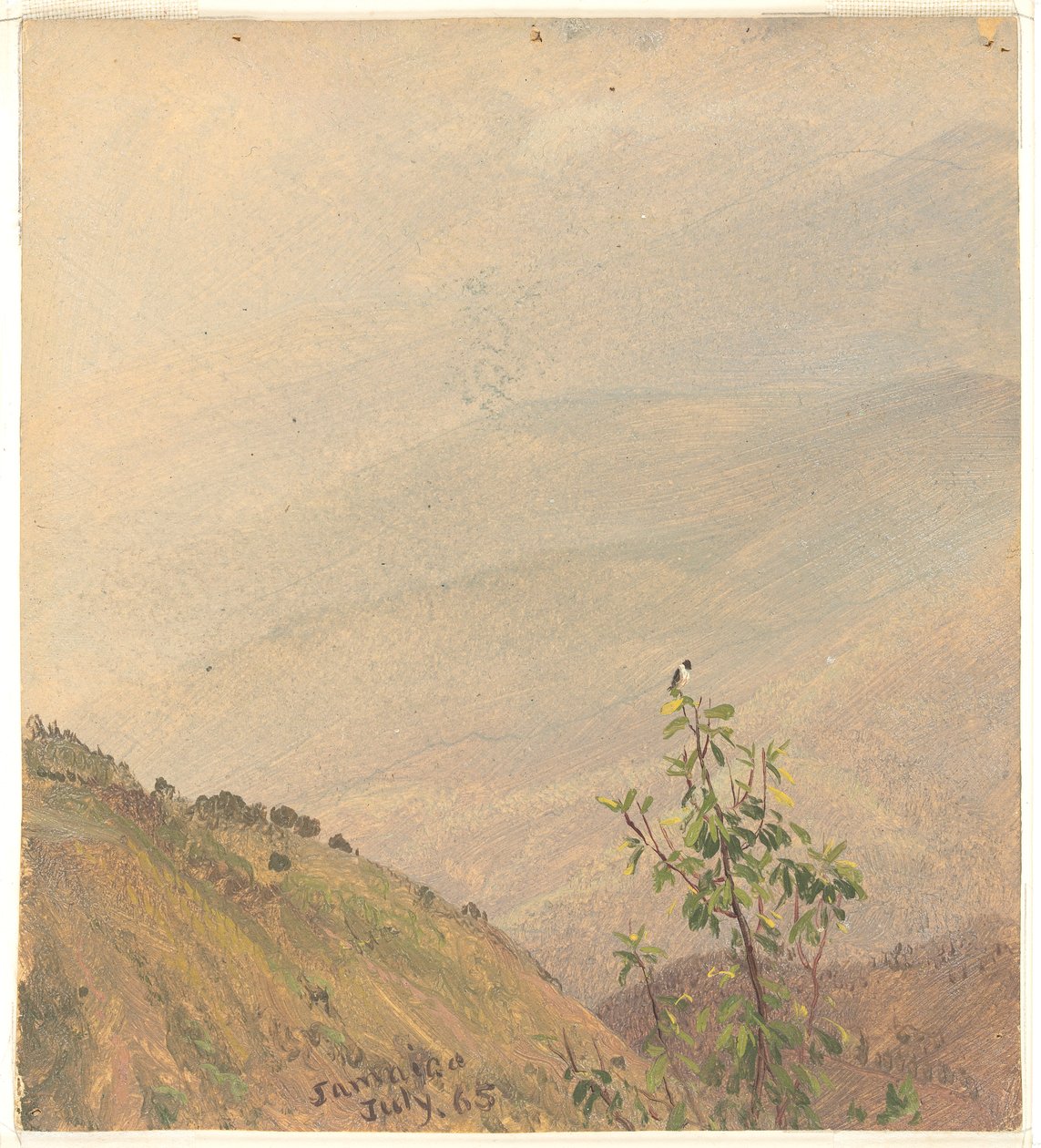 Distant Hills, Jamaica af Frederic Edwin Church
