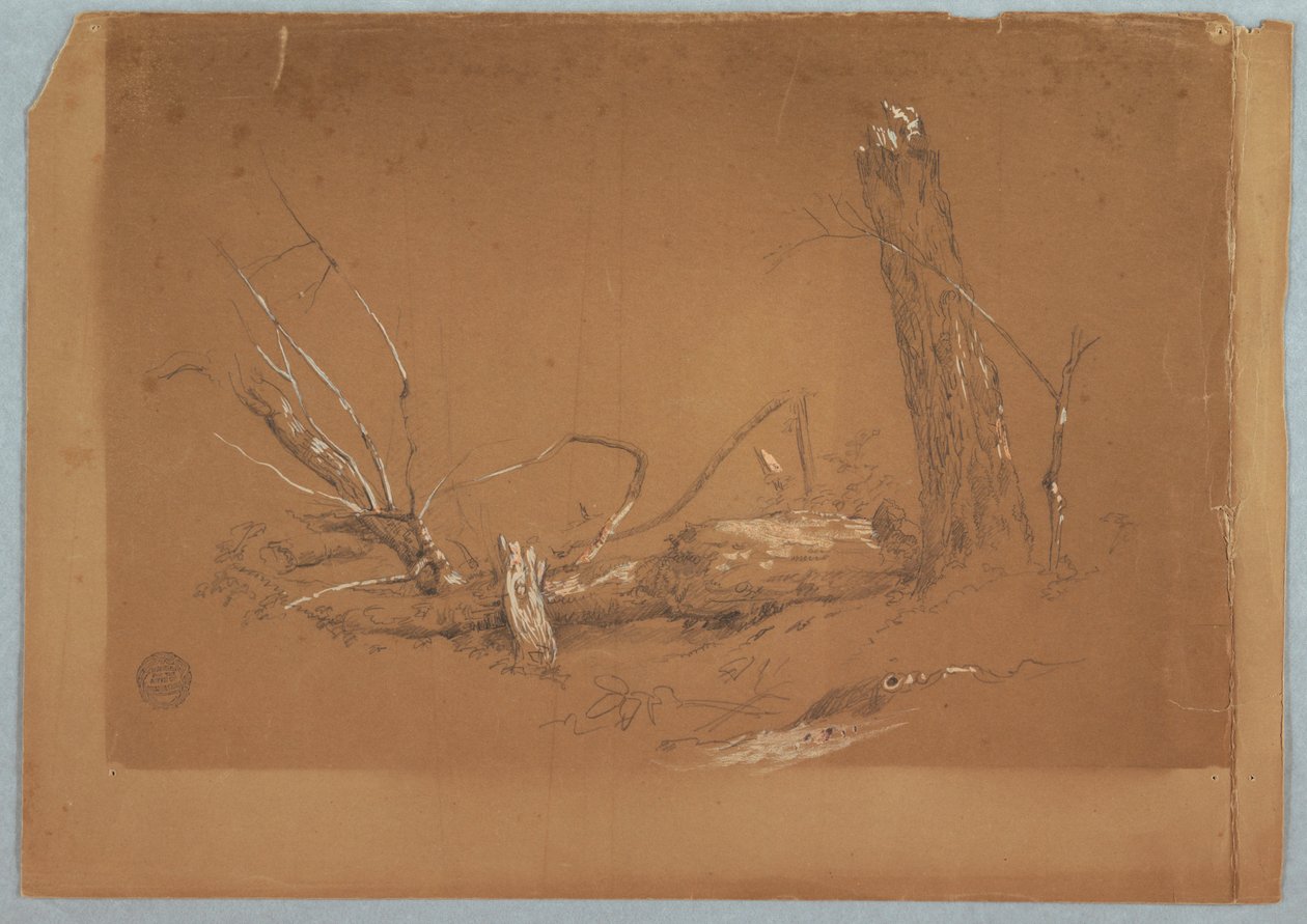 Tegning, Et knækket dødt træ, 1855-65 af Frederic Edwin Church