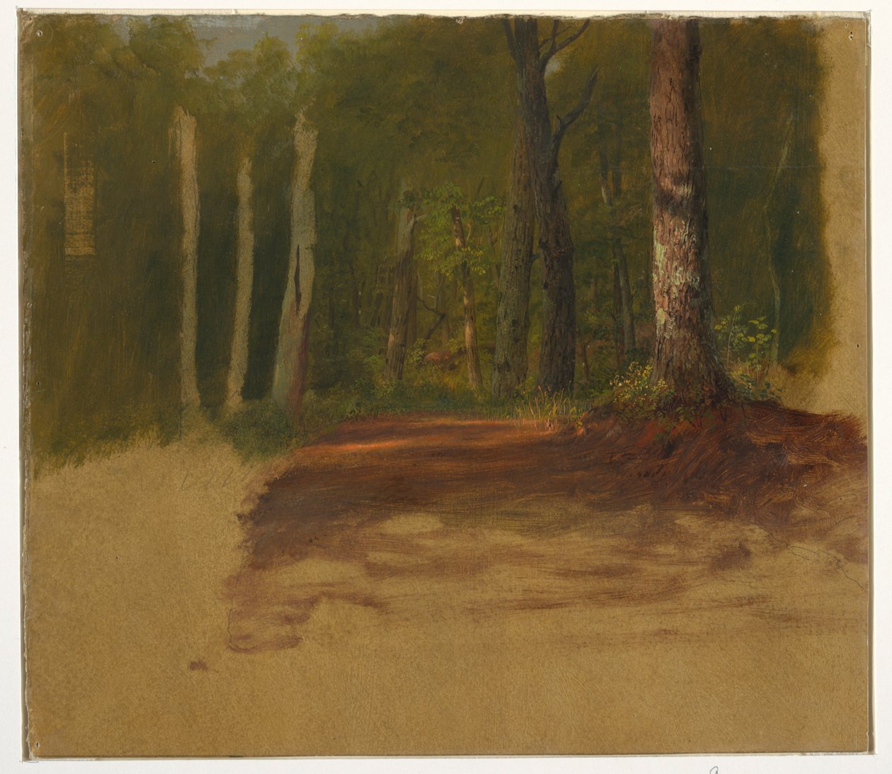 Tegning, En vej ind i skoven, 1850-60 af Frederic Edwin Church