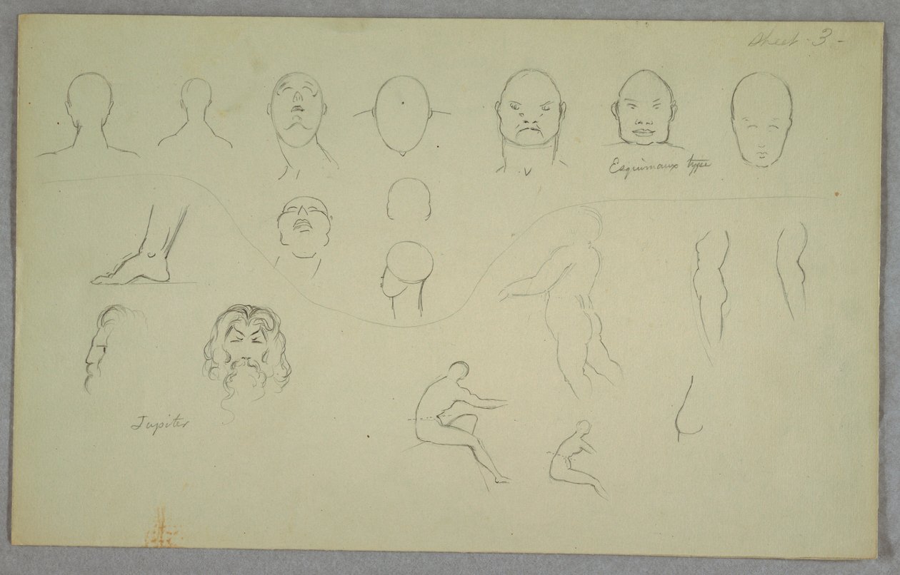 Tegning, anatomiske studier, 1865-70 af Frederic Edwin Church